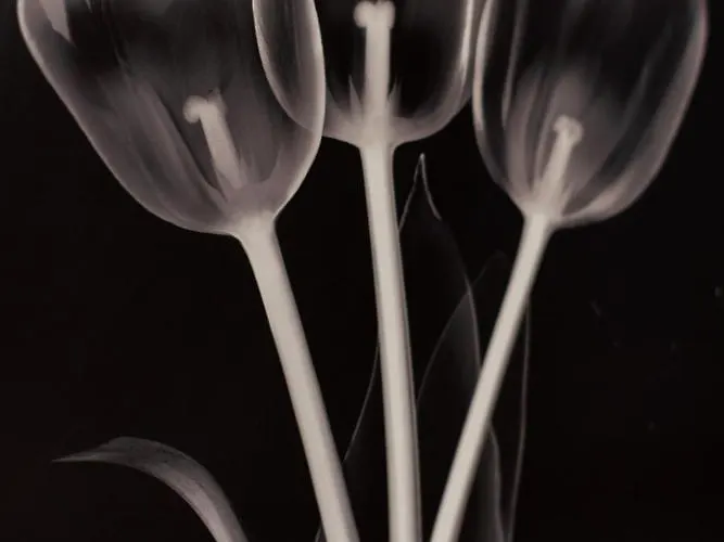 Txurruka - Baskeyrentals * Mutriku